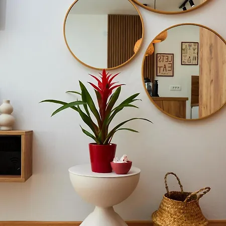 شقة Lovely And Cozy Lena زينيتشا